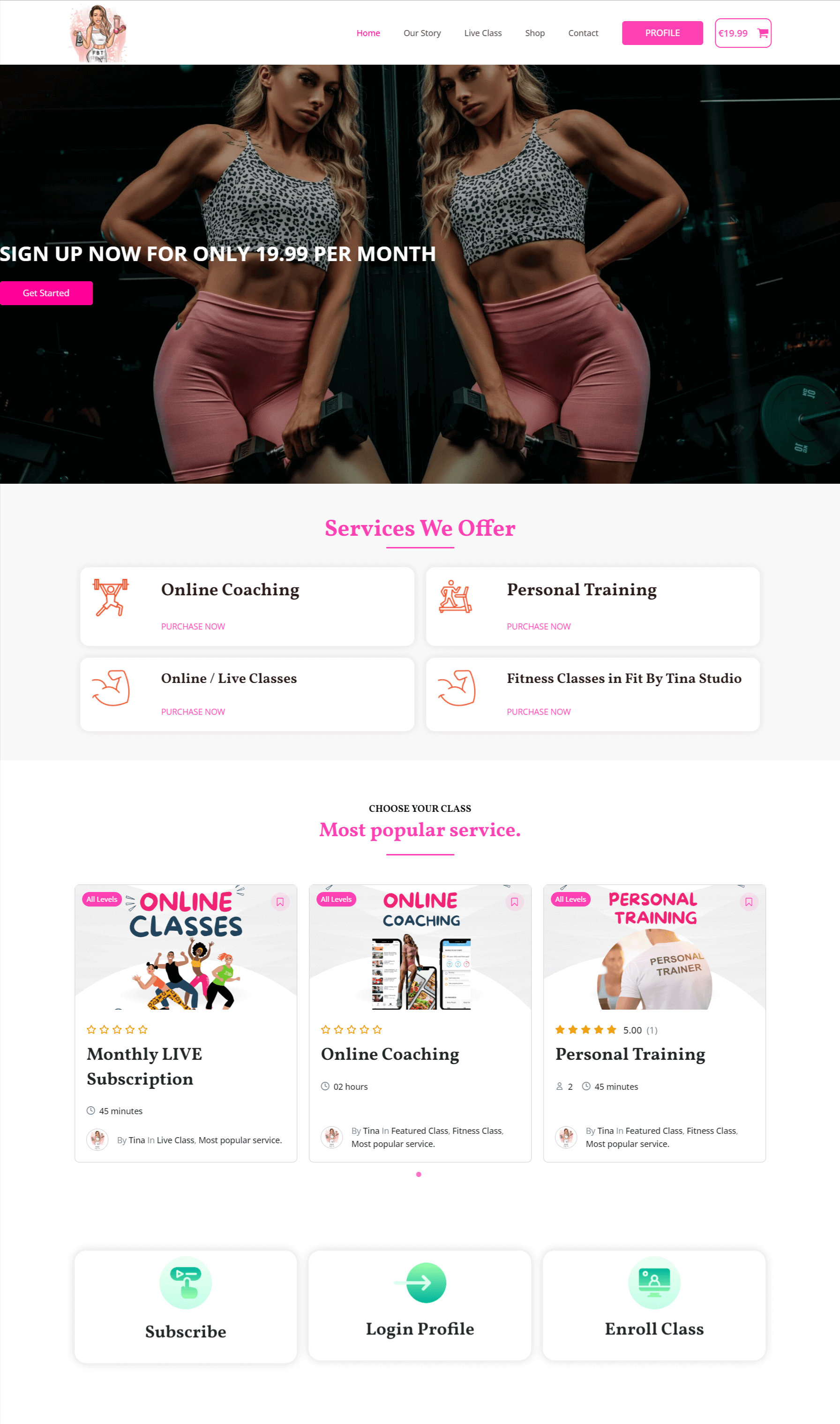 Fitness site development project