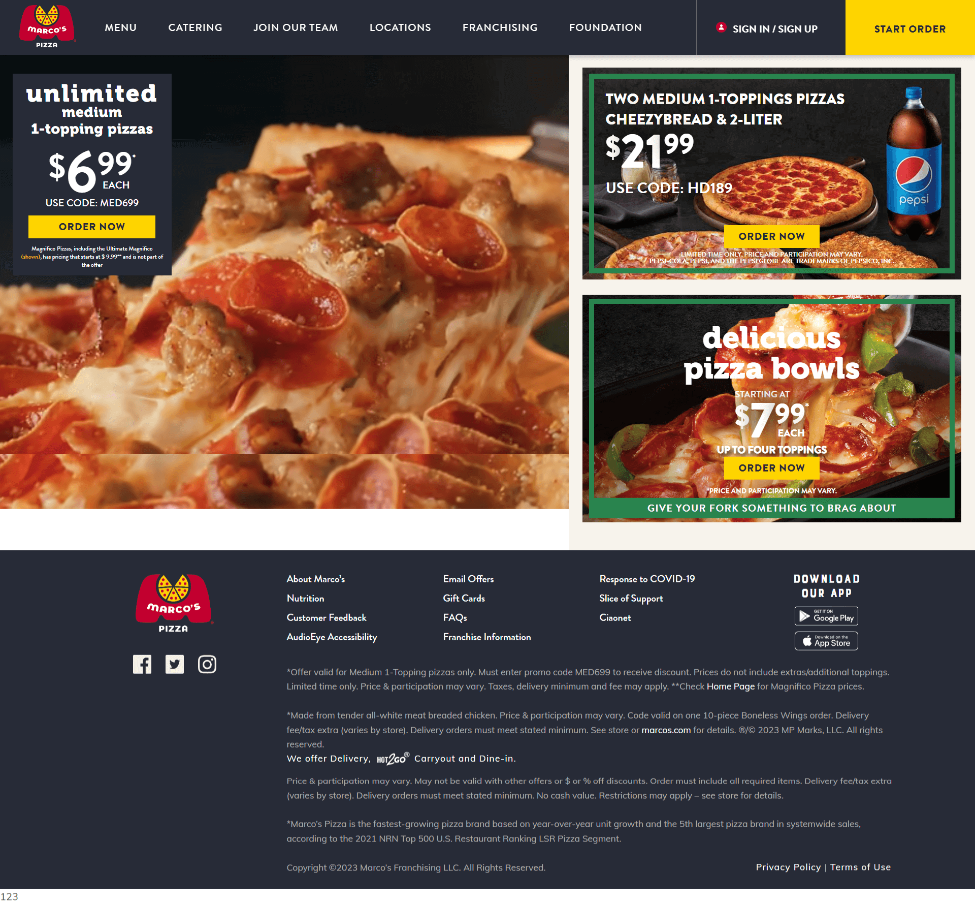 pizza sell website development projects