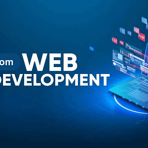 Custom website development